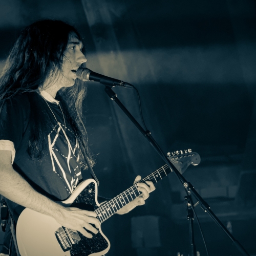 Alcest