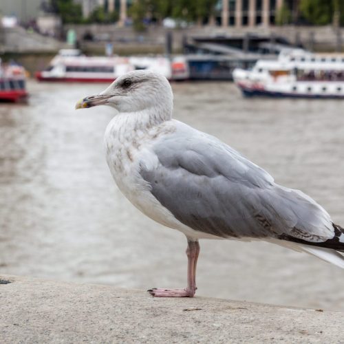 IMG_2665