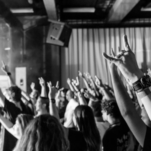 The crowd