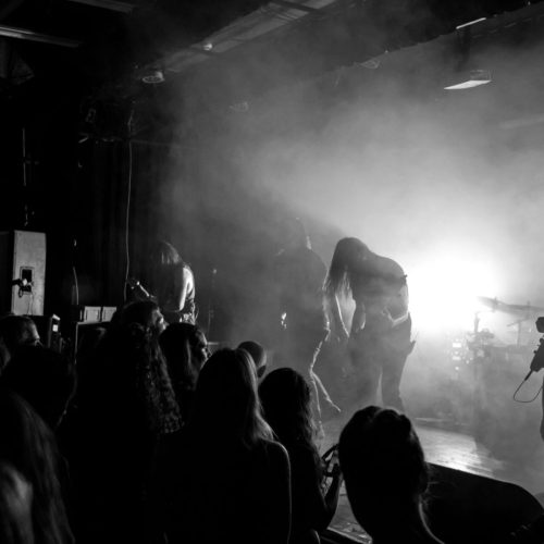 The crowd