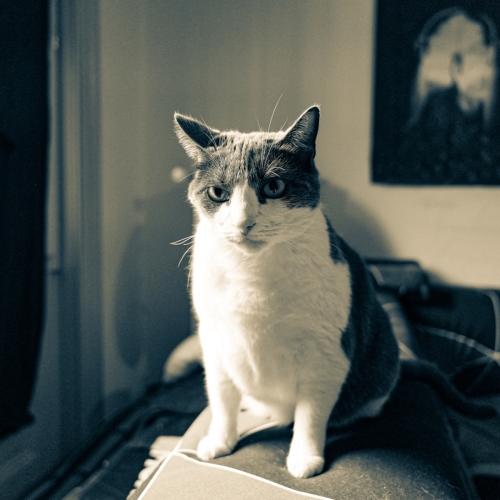 DSC00139_DxO