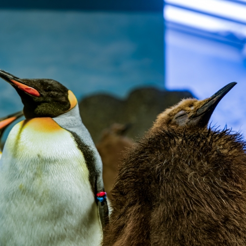 DSC01404_DxO