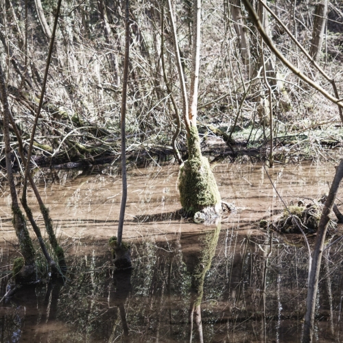 IMG_0414_DxO