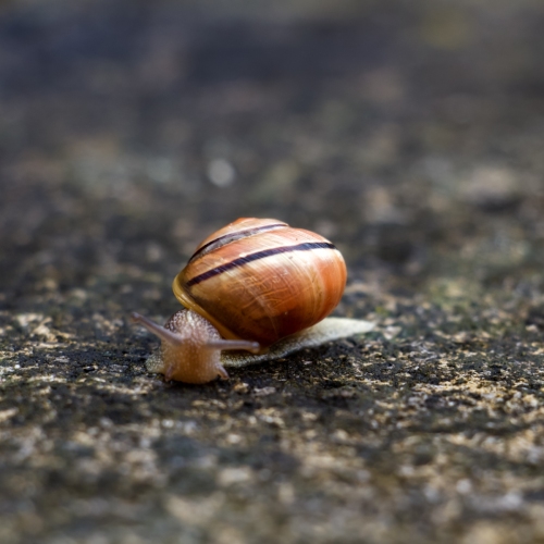 IMG_1403_DxO