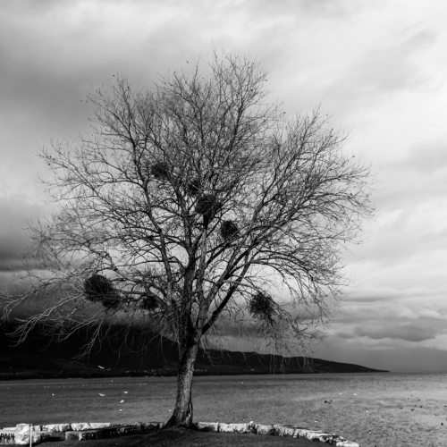 IMG_1581_DxO