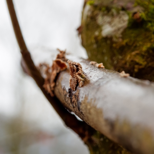 IMG_5255_DxO-1