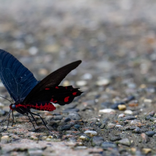 IMG_5348_DxO
