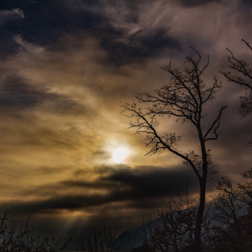 IMG_5539_DxO
