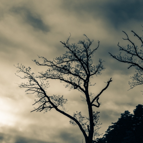 IMG_5553_DxO