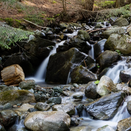 IMG_7195_DxO
